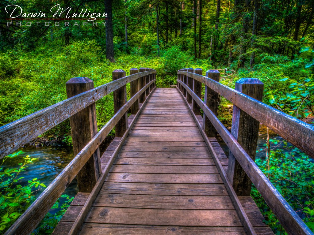 Bridge-over-a-creek-at-Silver-Falls-State-Park-Oregon