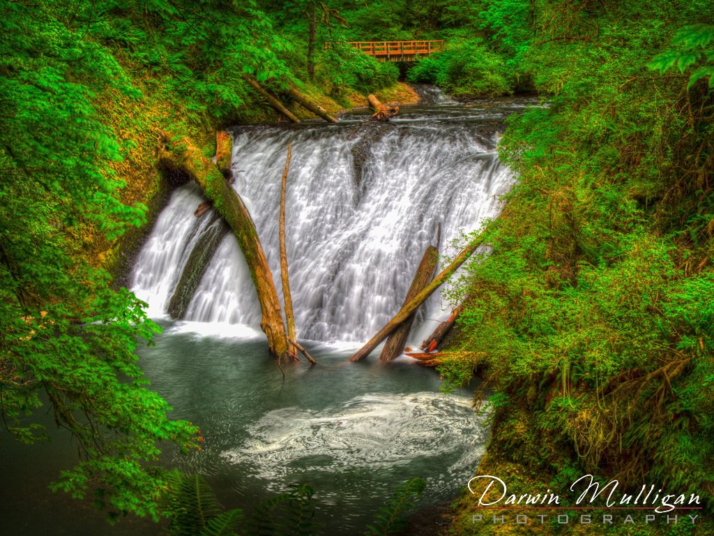 Waterfall-Silver-Falls-State-Park-Oregon