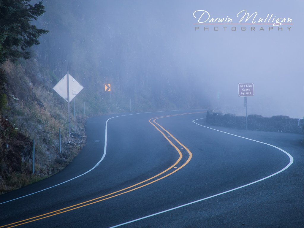 Foggy highway, Oregon Coast Highway 101, near Heceta Head Lighthouse