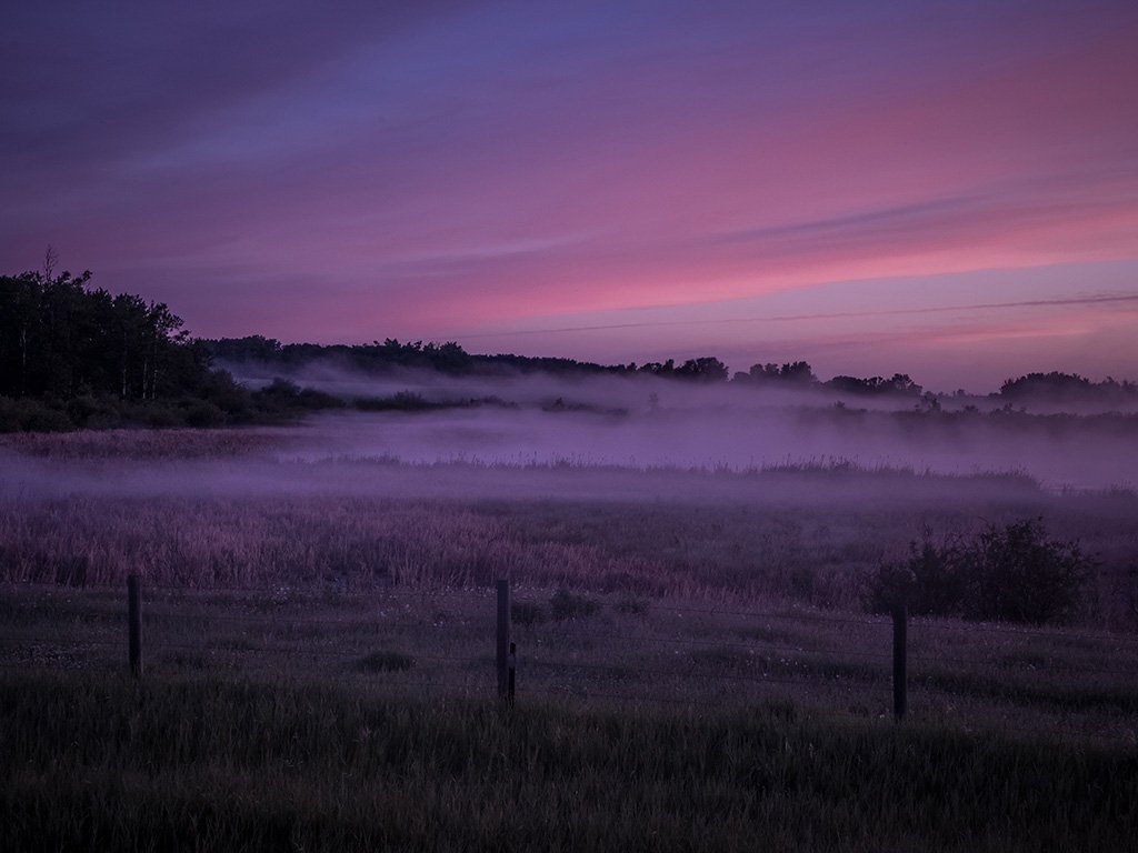 Highway 771 Alberta Zombie Fog before sunrise