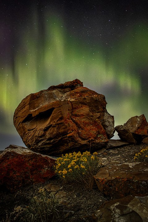 Northern Lights Aurora Borealis Red Rock Coulee Medicine Hat Seven Persons Orion Alberta